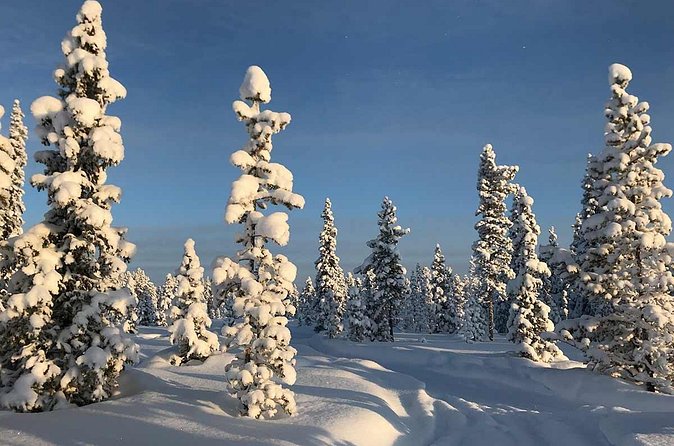 Snowmobile Arctic Adventure - Guides who make the difference