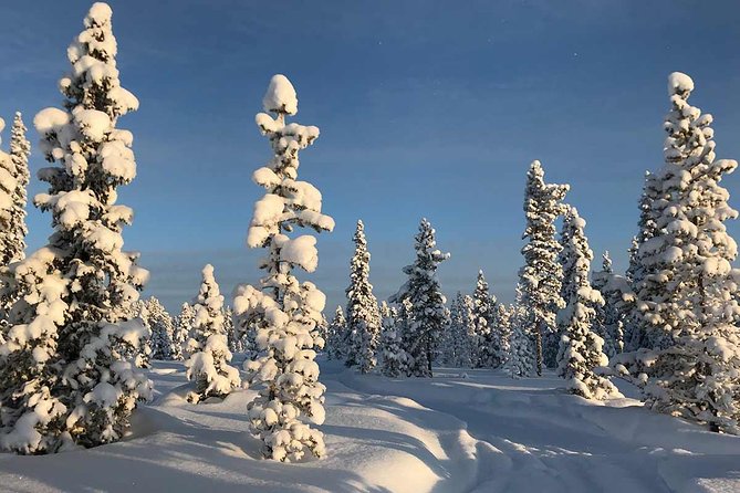 Snowmobile Arctic Adventure - Is the $231.34 price fair?