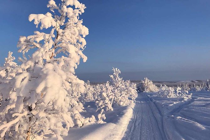 Snowmobile Arctic Adventure - Forest tracks, frozen lakes, and the Torne River
