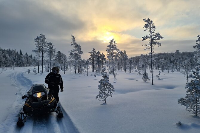 Snowmobile tour - Riding toward the high point near Vistträsk By