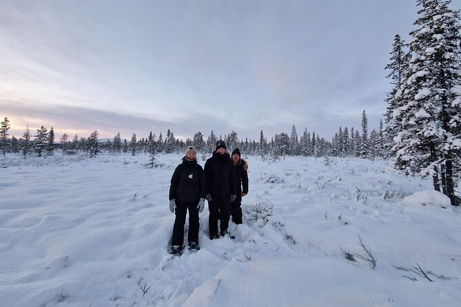Snowshoe in a Winter Forest - Into the forest from central Kiruna