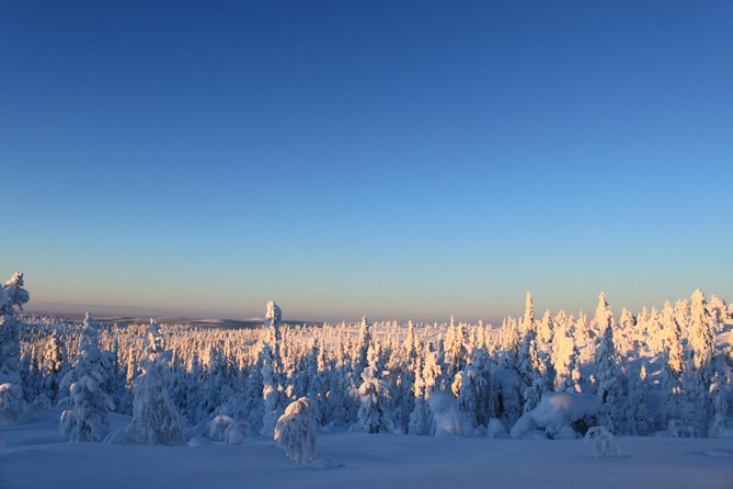 Snowshoe in a Winter Forest - More than trees: Kiruna, mining, and Sami culture