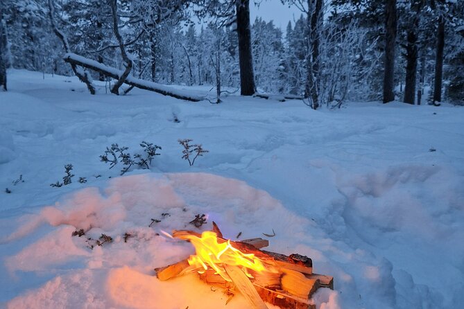Snowshoe in a Winter Forest - A fire, berry juice, and Kangoskaka