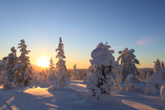 Snowshoe in a Winter Forest - The price and what you receive