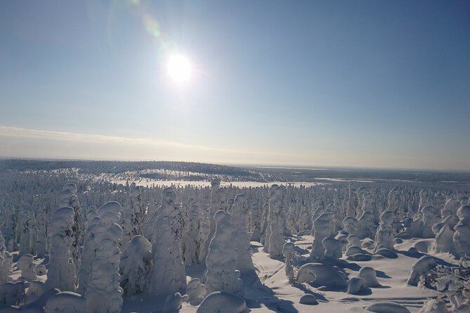 Snowshoe up a Mountain - Why this Kiruna snowshoe walk is worth your afternoon