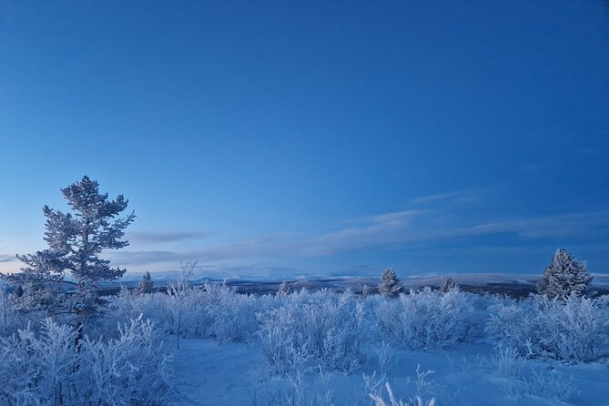 Snowshoe up a Mountain - The climb above the tree line