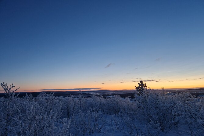 Snowshoe up a Mountain - Hot berry juice and a view at the top