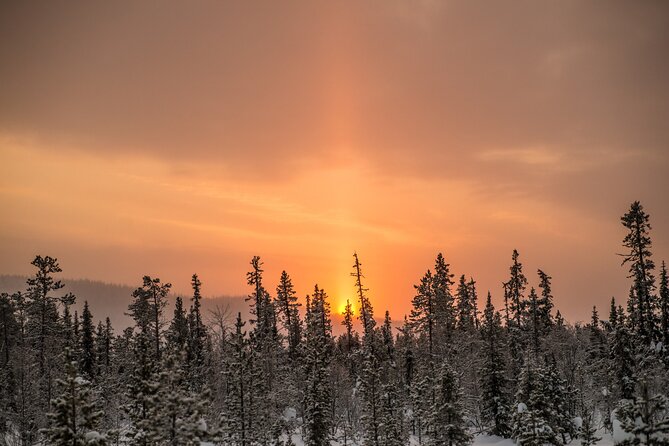 Snowshoe Winter Hike from Stockholm - Clothing, comfort, and winter realism