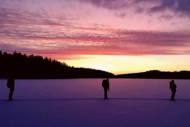 Snowshoe Winter Hike from Stockholm - A slow walk through Stockholm’s winter scenery