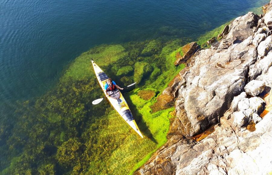 Stockholm: 1, 2, or 3-Day Kayaking Tour in the Archipelago - Fika before returning to Stockholm