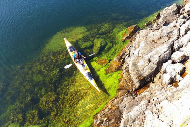 Stockholm Archipelago Kayaking Day Tour - Key points before you book