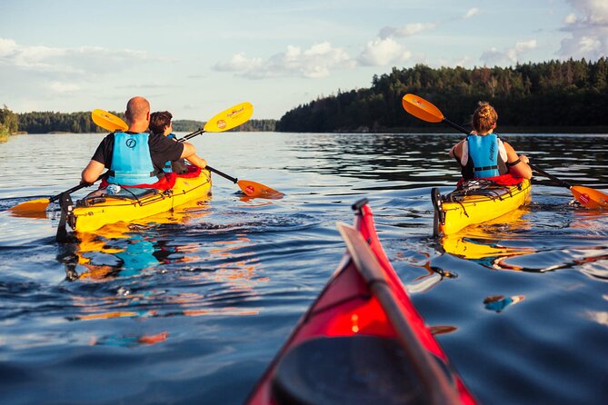 Stockholm Archipelago Sunset Kayaking and Fika tour - Bogesundslandet for woods, farms, and wildlife