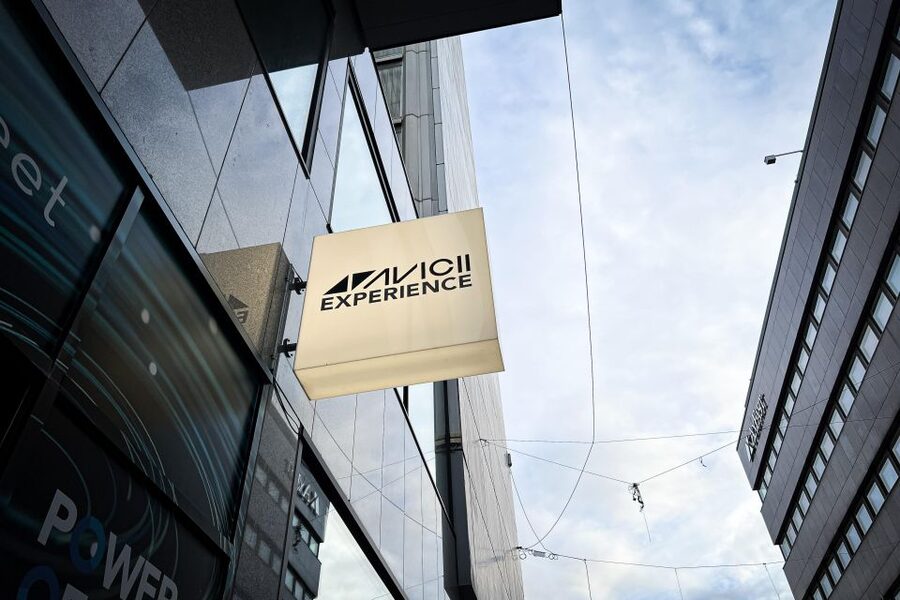 Stockholm: Avicii Experience Skip-the-Line Entrance Ticket - Who Will Enjoy This Most?