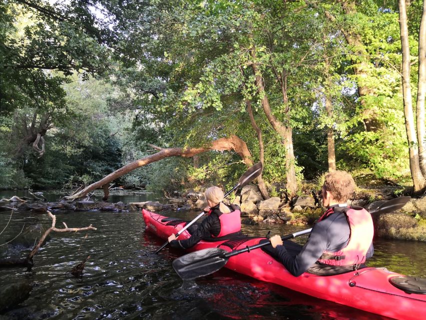 Stockholm Evening Kayak with BBQ. - Guide style and group size