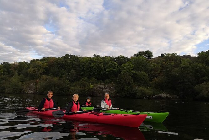 Stockholm Evening Kayak with BBQ - Small Group - Who will enjoy this tour most?
