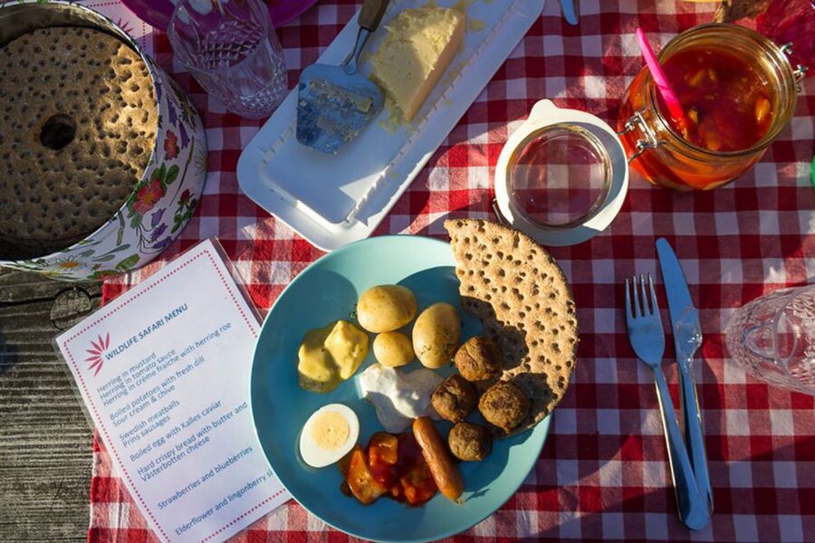 Stockholm: Evening Wildlife Safari with Midsummer Meal - Practical tips for a better safari