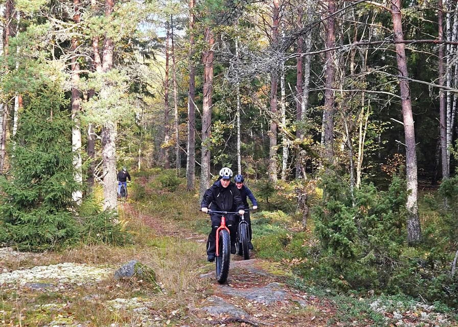 Stockholm: Fat Bike Forest Adventure with Lunch and Sauna - Practical value at $138