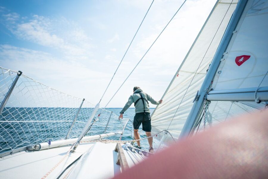 Stockholm: Full Day Archipelago Sailing Tour with Lunch - Wildlife to watch for from the boat