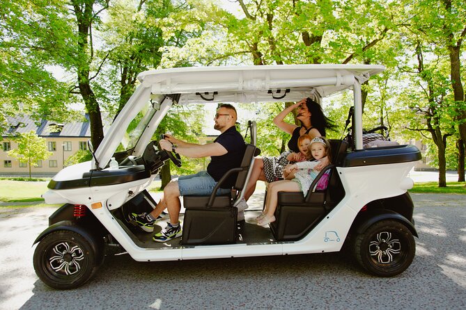 Stockholm Highlights: Private Golf Cart Tour - Monteliusvägen: five minutes with a major view