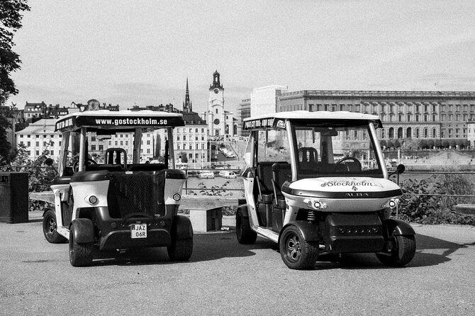 Stockholm Highlights: Private Golf Cart Tour - What the guides add to the experience