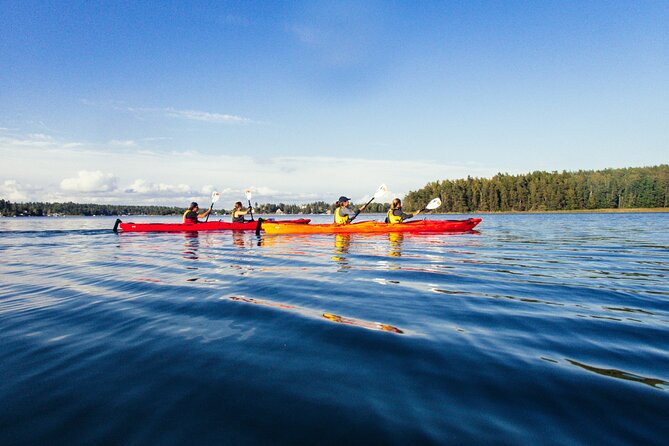 Stockholm: Kayaking tour around Vaxholm Archipelago with Fika - Meeting the guide and choosing your kayak