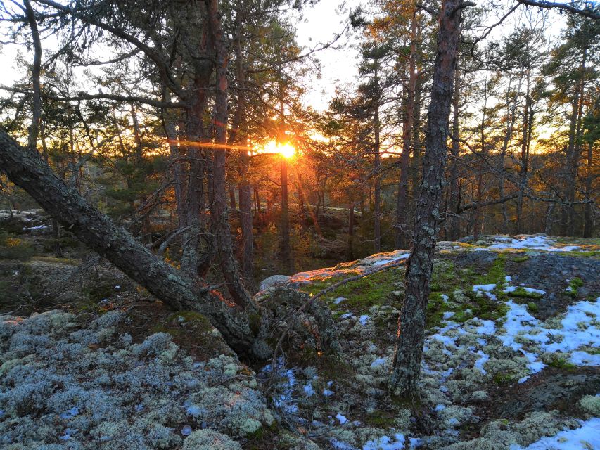 Stockholm: Nature Hike with Campfire Lunch - Is $149 a fair price?