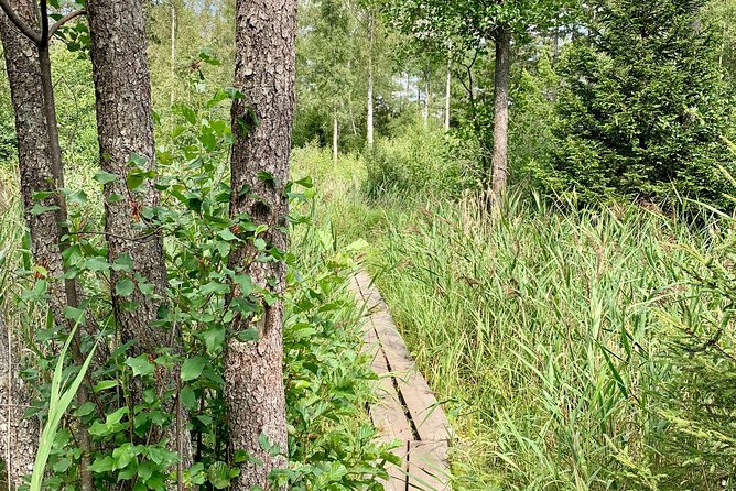 Stockholm: Nature Reserve Hiking Tour with Campfire Lunch - Is the $142.80 price fair?