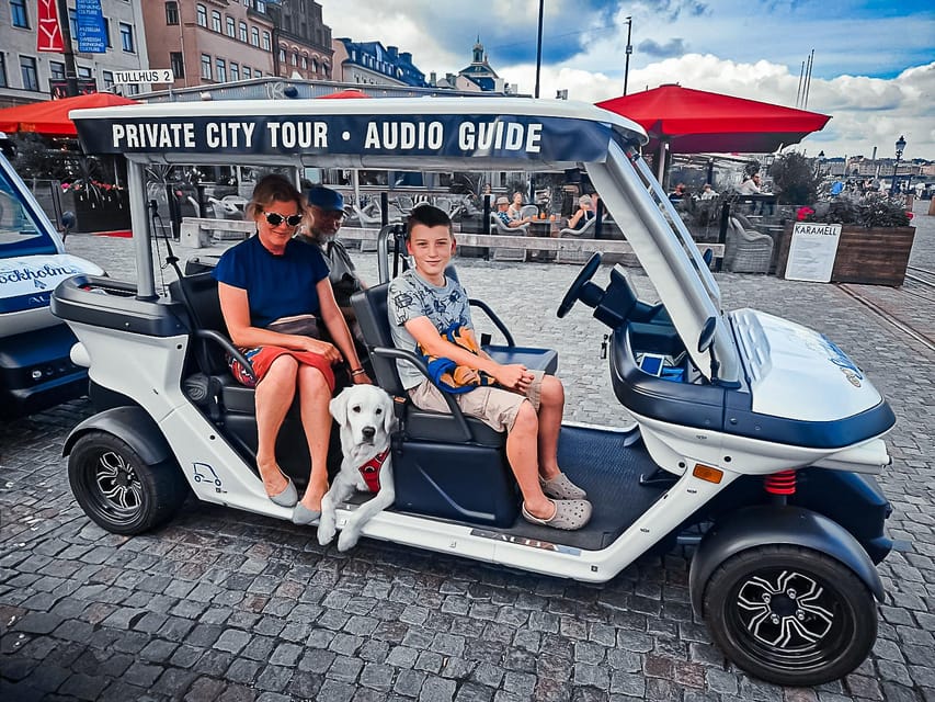Stockholm Private Golf Cart Tours - Bridges, waterfront buildings, and the museum island