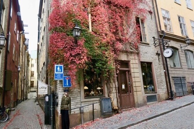 Stockholm Private Group Walking Tour | 3 Hours - Stockholm’s Old Town and the city’s stories