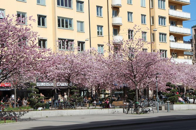 Stockholm Private Tour with a Local: Hip & Bohemian Sodermalm 3hr - Nytorget Square and the social side of Södermalm