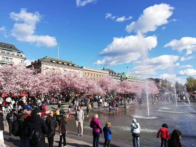 Stockholm: Scandinavian Architecture & Design Ostermalm Tour - Key points to know before you book