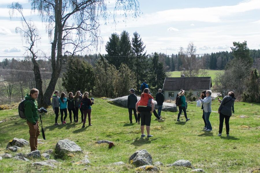 Stockholm: Sigtuna and Uppsala Viking History Day Tour - Why this day works for history-minded visitors
