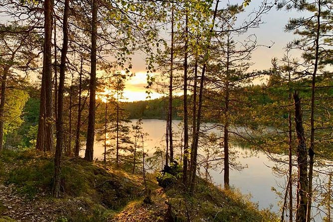 Stockholm: Sunset Hike in Tyresta National Park with Meal - Key Points Before You Book