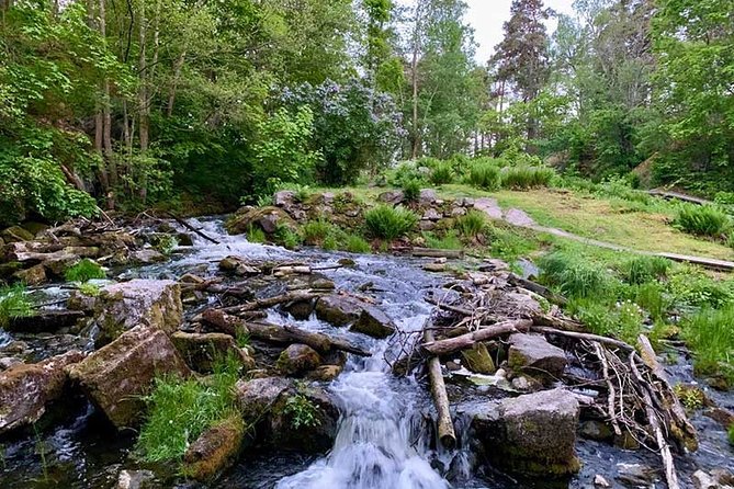 Stockholm: Sunset Hike in Tyresta National Park with Meal - What the Trail Feels Like Underfoot