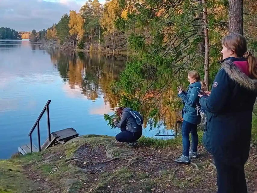 Stockholm: Sunset Hike in Tyresta National Park with Meal - The Final 1.5 Hours: Walking Into Darkness