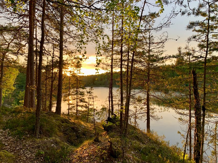 Stockholm: Sunset Hike in Tyresta National Park with Meal - The Best Fit for This Tyresta Evening