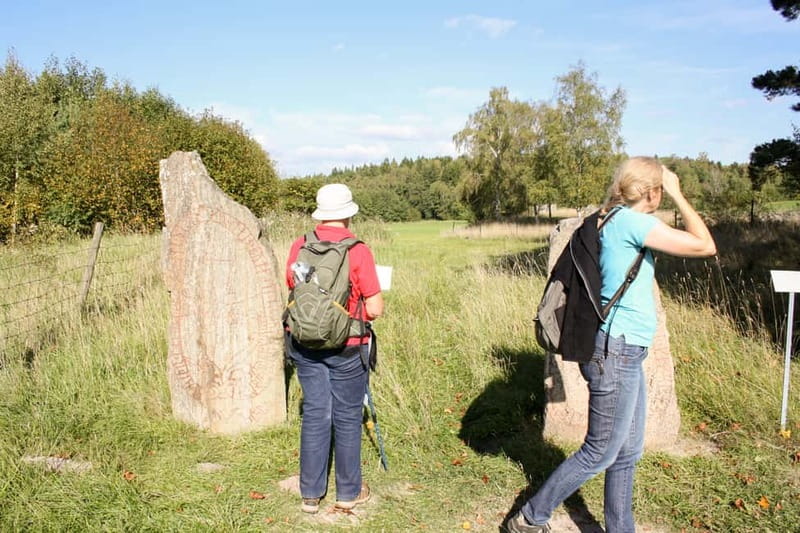 Stockholm Viking History Full Day Tour to Sigtuna + Uppsala - Key things to know before you book