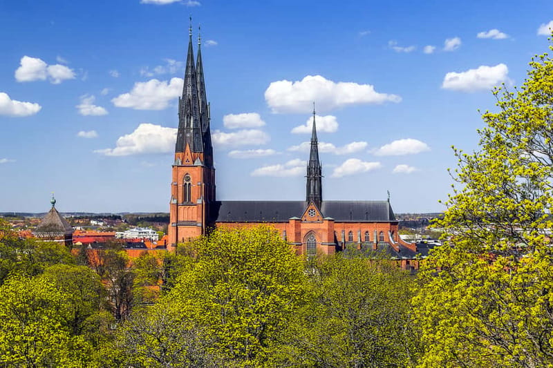 Stockholm Viking History Full Day Tour to Sigtuna + Uppsala - The road to Uppsala