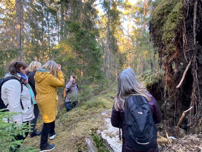 Stockholm: Wildlife Safari - The Animals You Might See