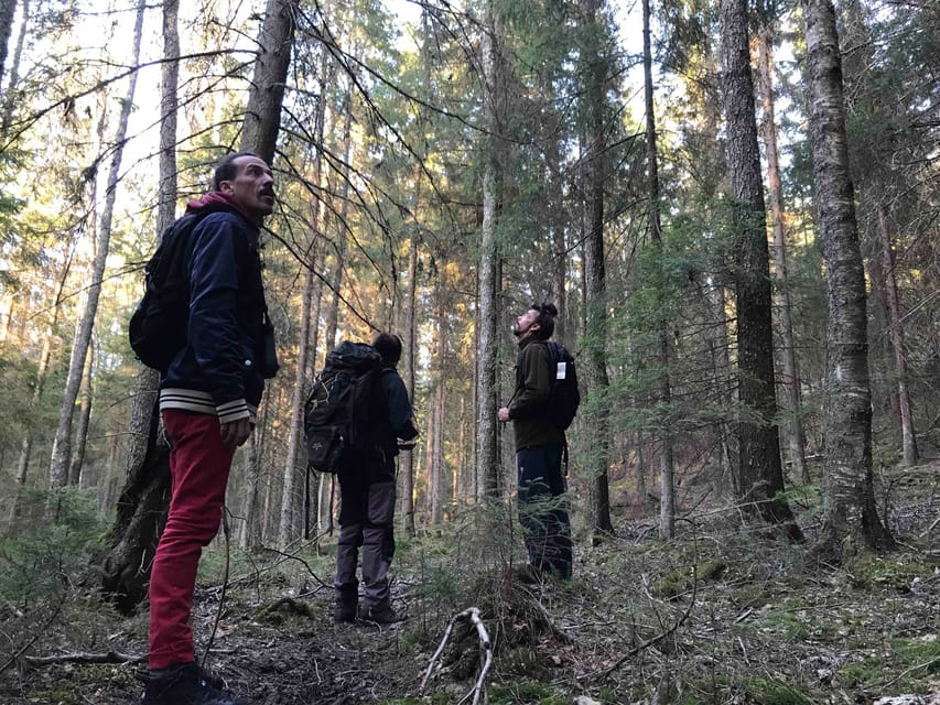 Stockholm: Wildlife Safari - How the Guides Shape the Evening
