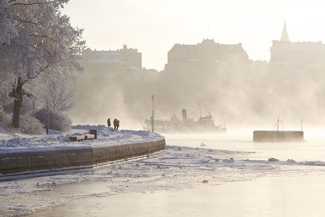Stockholm Winter Boat Tour with Guide - What makes this winter cruise worth considering