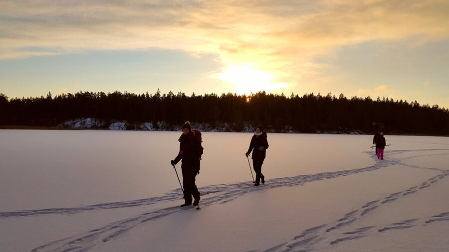 Stockholm: Winter Snowshoe Full-Day Hike - Forest trails, deer tracks, and Swedish ecology