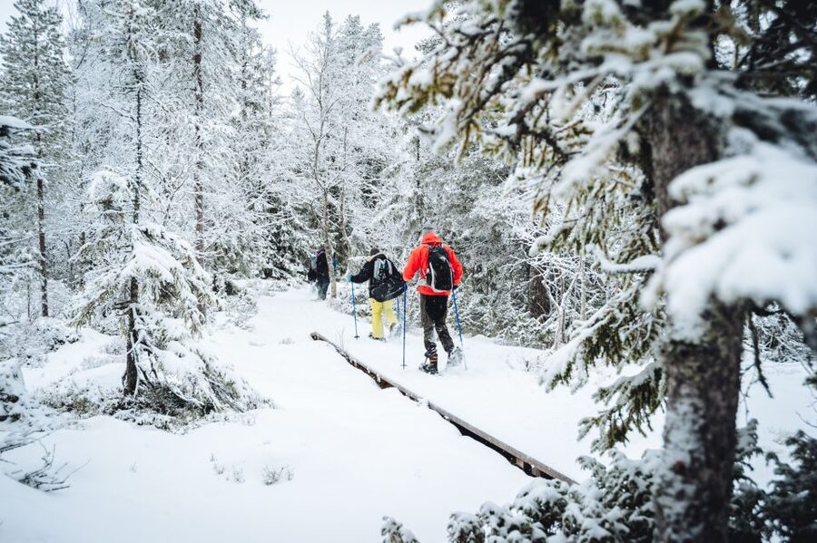 Stockholm: Winter Snowshoe Full-Day Hike - What to wear and what to pack