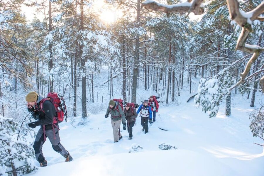 Stockholm: Winter Snowshoe Full-Day Hike - Learning to move on snow and ice