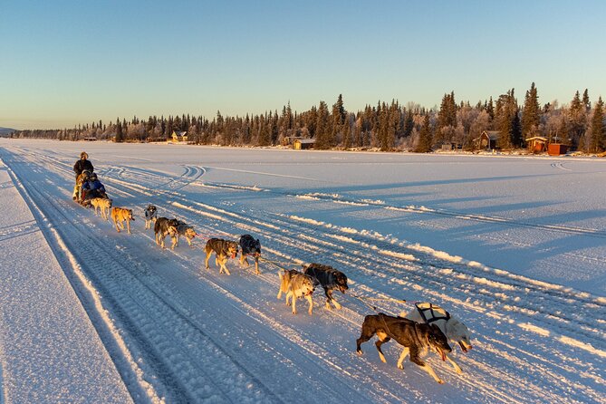 Sunrise Zen Husky Tour (10:00 to 13:00 - sitting on the sled) - Key points before you book