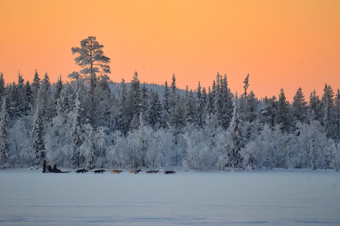 Sunrise Zen Husky Tour (10:00 to 13:00 - sitting on the sled) - Getting dressed for the Poikkijärvi Woods