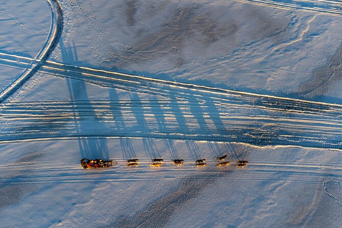 Sunrise Zen Husky Tour (10:00 to 13:00 - sitting on the sled) - Why the small group changes the experience