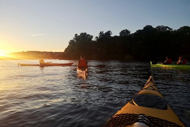 Sunset Kayak Tour in Central Stockholm and Swedish Fika - Paddling a long loop through central Stockholm