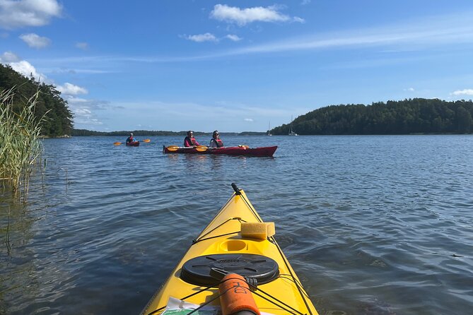 Sunset Kayak Tour in the Stockholm Archipelago + Swedish Fika - Is $215.95 a fair price?