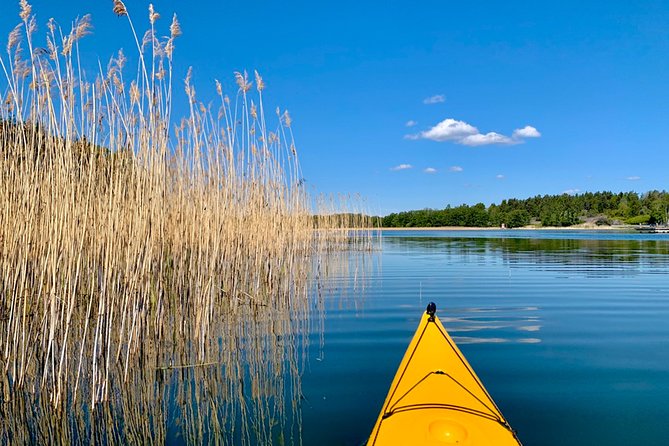 Sunset Kayak Tour in the Stockholm Archipelago + Swedish Fika - Who will enjoy this tour most?
